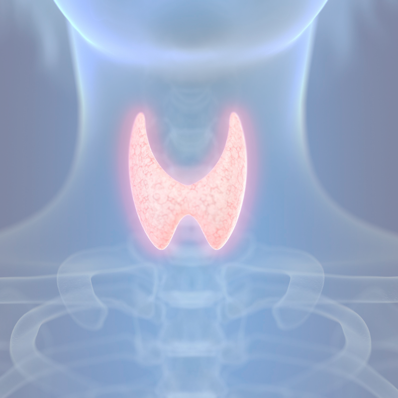 Nódulos de Tireoide